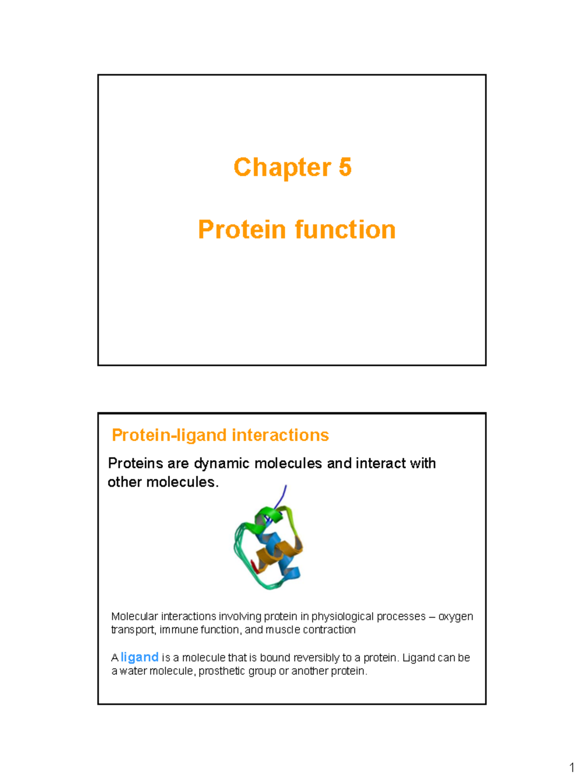 Chapter 5 - Lecture notes 5 - Chapter 5 Protein function Protein-ligand ...