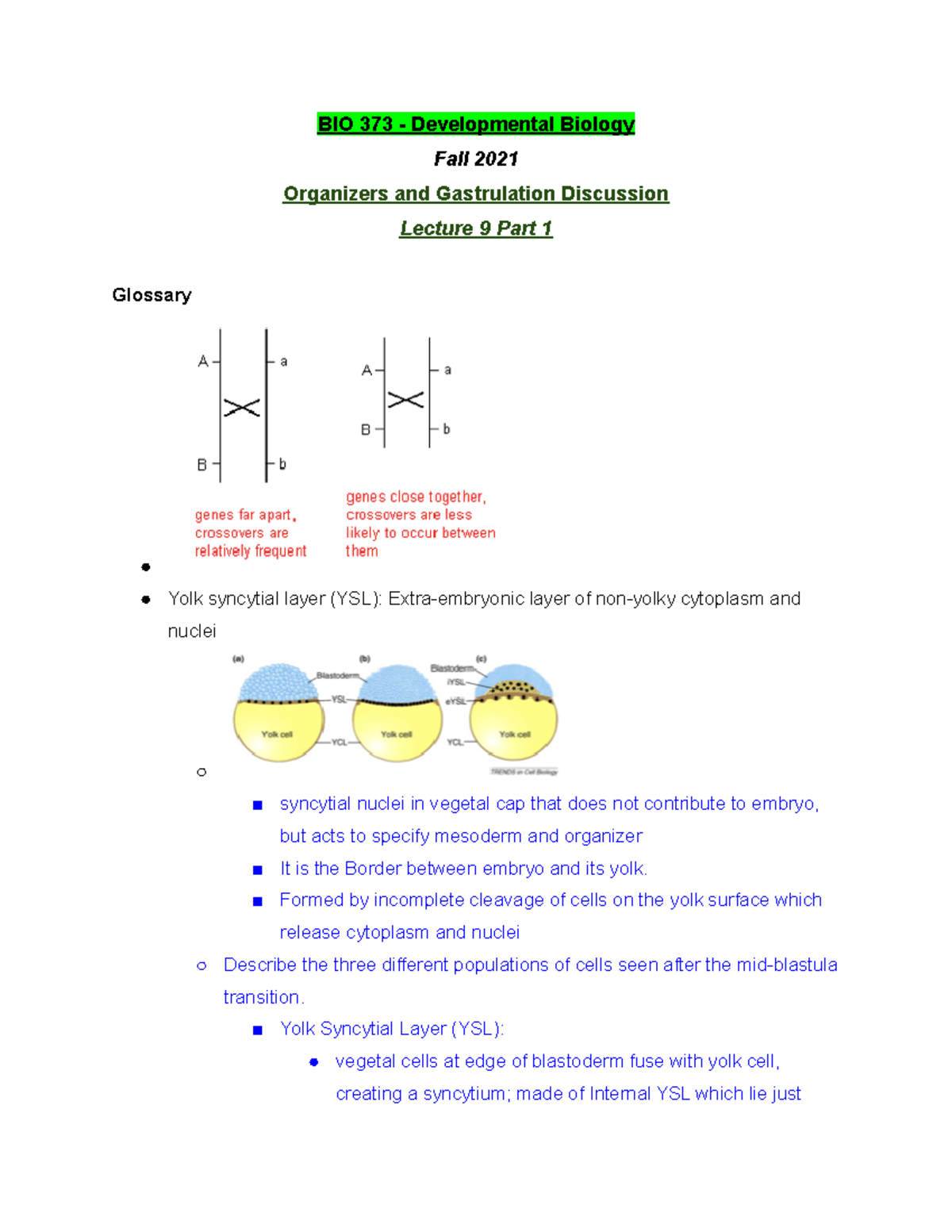 BIO 373 Lecture 9 Part 1 - Fall 2021 - BIO 373 - Studocu