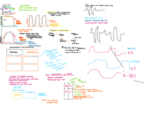 Cardiovascular Physiology - 3/26 Cardiovascular Physiology Anatomy ...