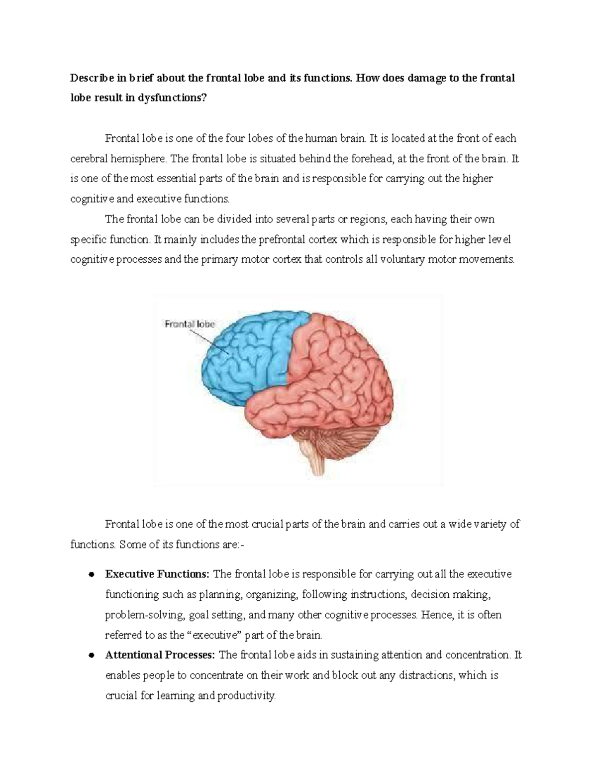 Frontal Lobe and Its Dysfunctions - Describe in brief about the frontal ...