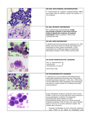 Borrelia Burgdorferi - Organism–Borrelia Burgdorferi is a bacterium ...