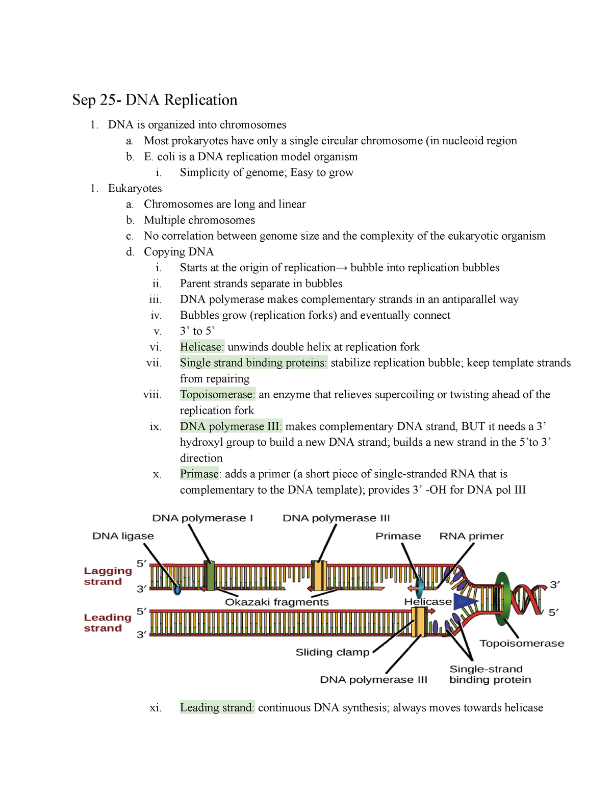 BIO 101 Lecture Notes Sep 25Dec 13 Sep 25 DNA Replication 1. DNA is