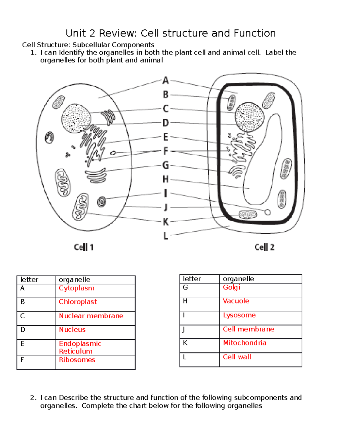 Unit 2 Review - Unit 2 Review: Cell Structure And Function Cell ...