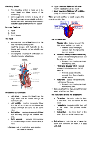 Seatwork 1 Muscular System - Name: Sobremisana, Ayessa Iris L. Course ...