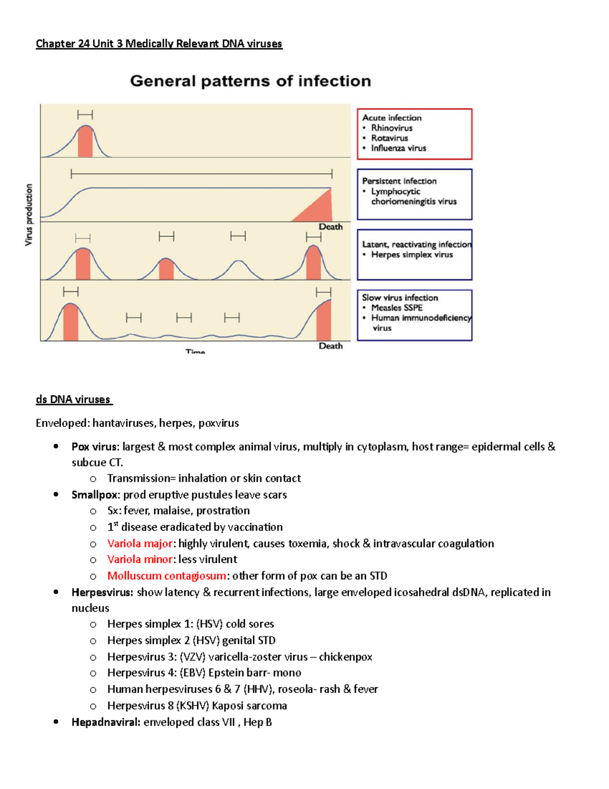 Chapter 24 Unit 3 Notes - Chapter 24 Unit 3 Medically Relevant DNA ...