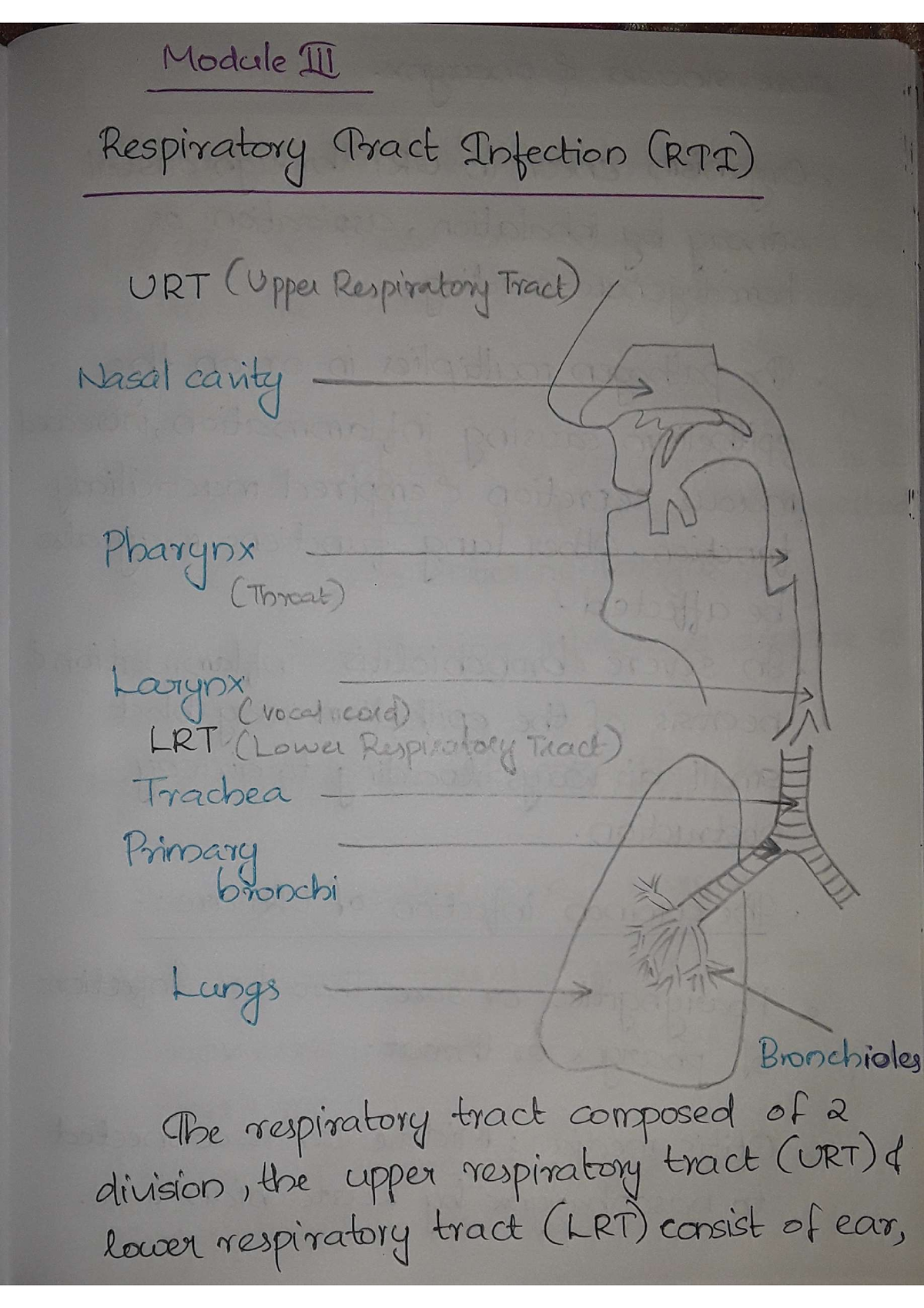 Respiratory Tract Infection (RTI) - Fundamentals Of Biochemistry - Studocu