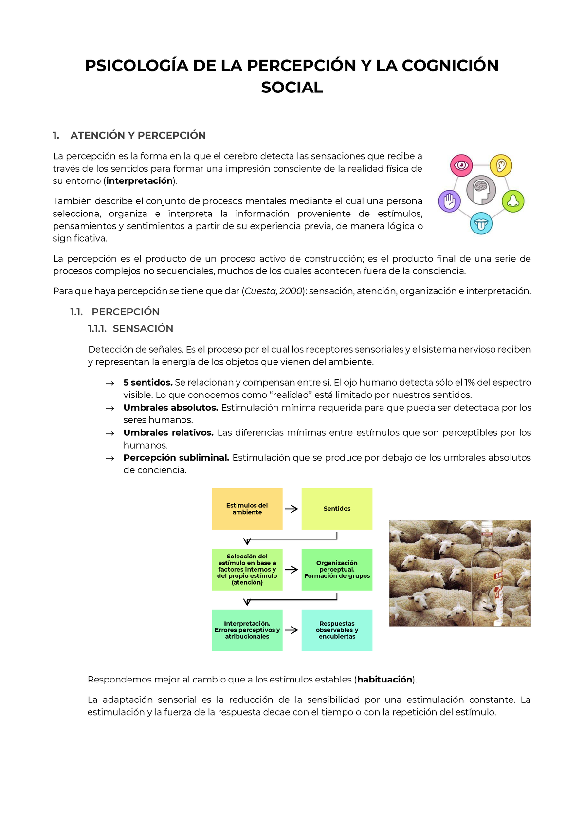 TEMA 4. Psicología DE LA Percepción Y LA Cognición Social - PSICOLOGÕA ...