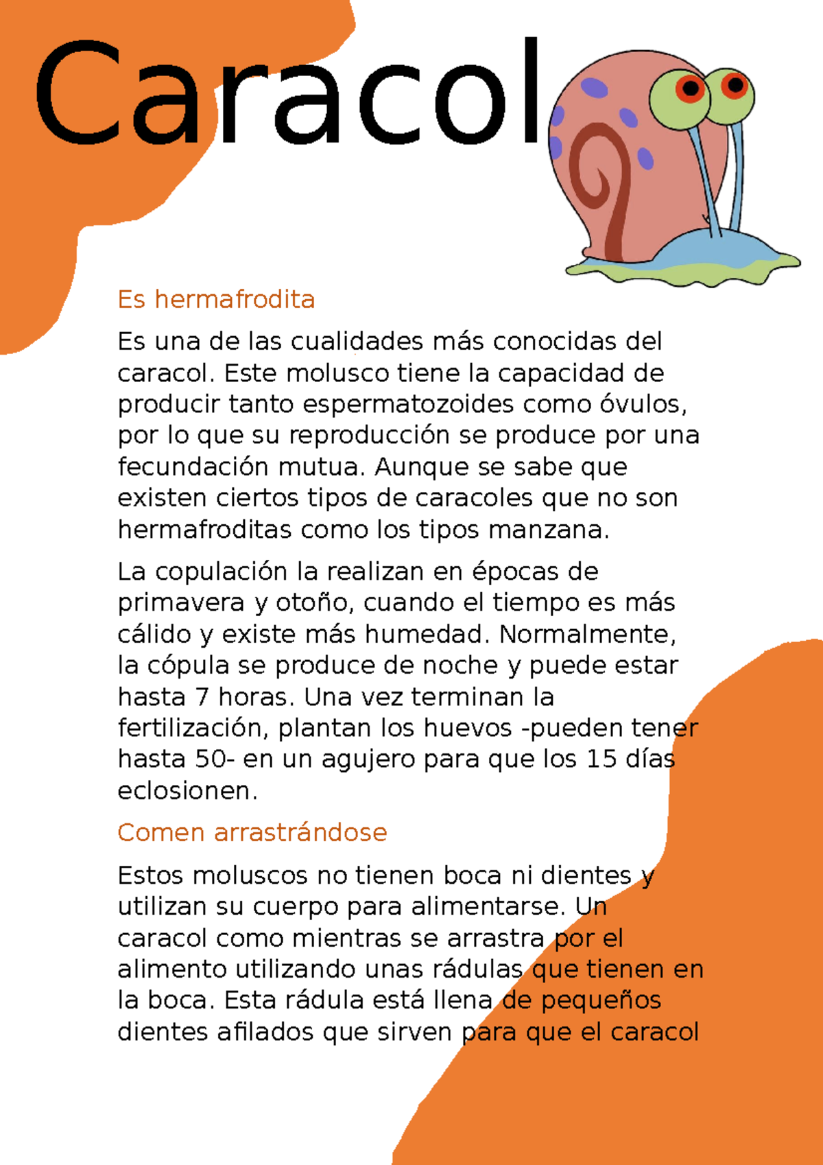 Caracol - descriptivo - Es hermafrodita Es una de las cualidades más ...