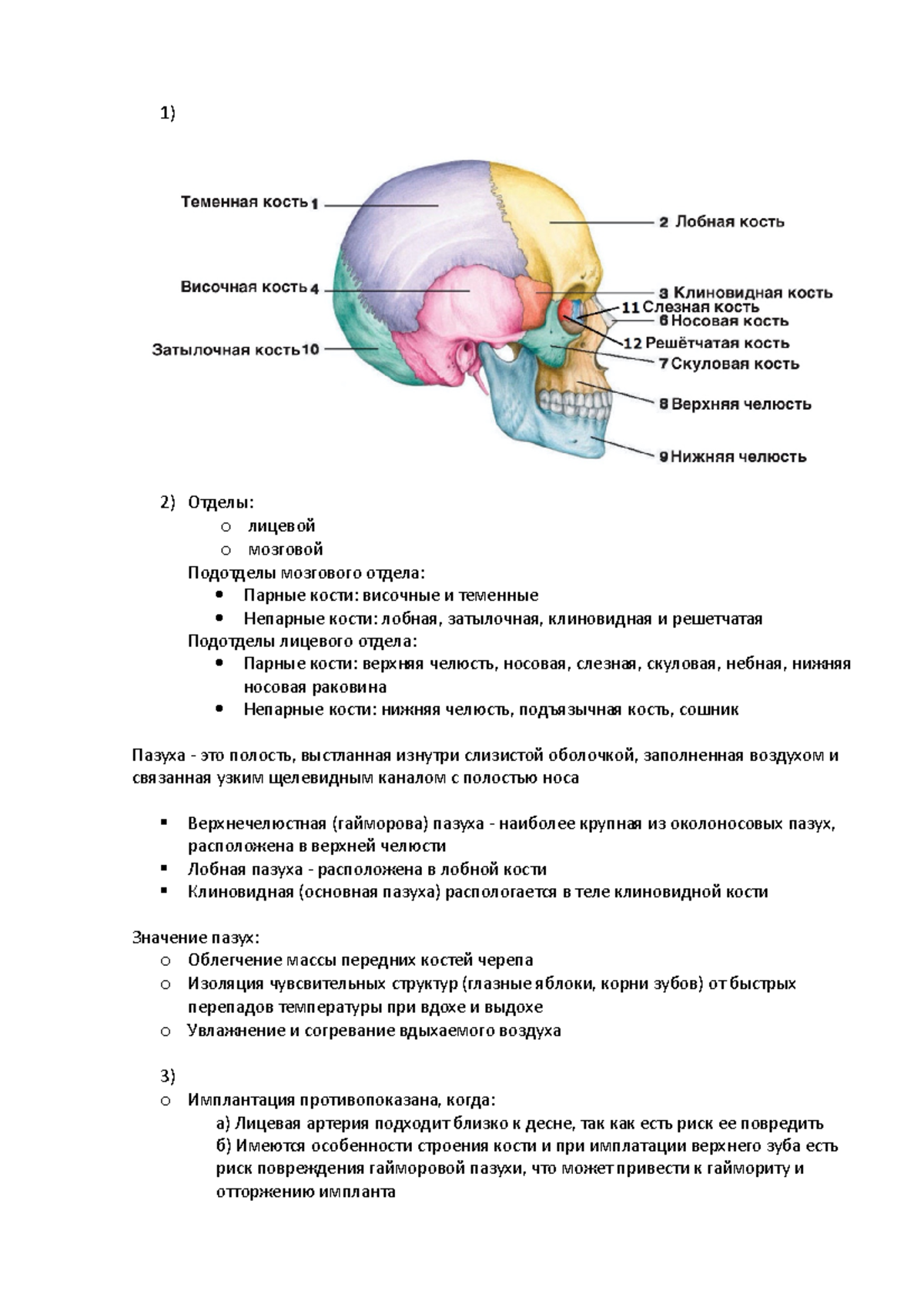 СР по анатомии 2 - Самостоятельная работа по анатомии. Череп - 1 ...