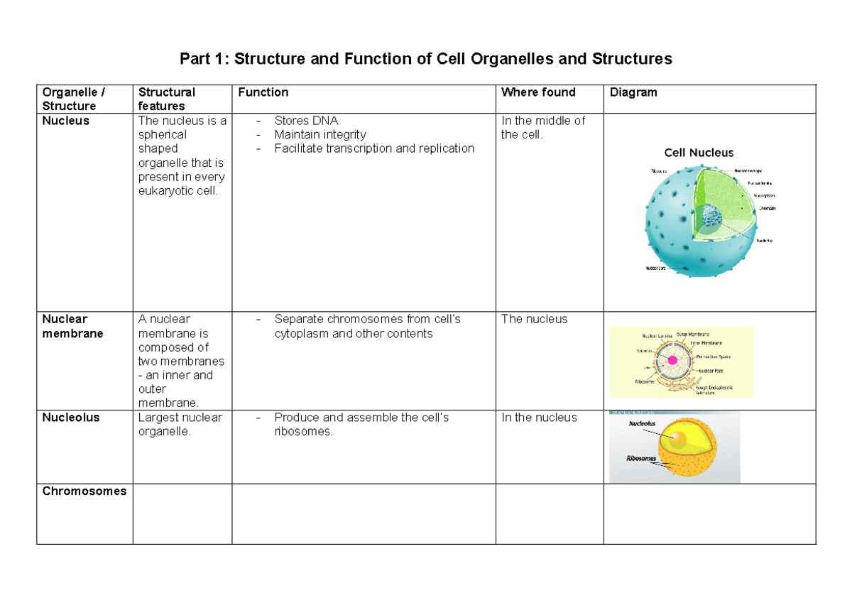 Summary - Organelle structure and function - Part 1: Structure and ...