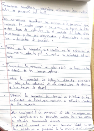 Principios de líneas marcadas - Principios de la linea marcada E ...