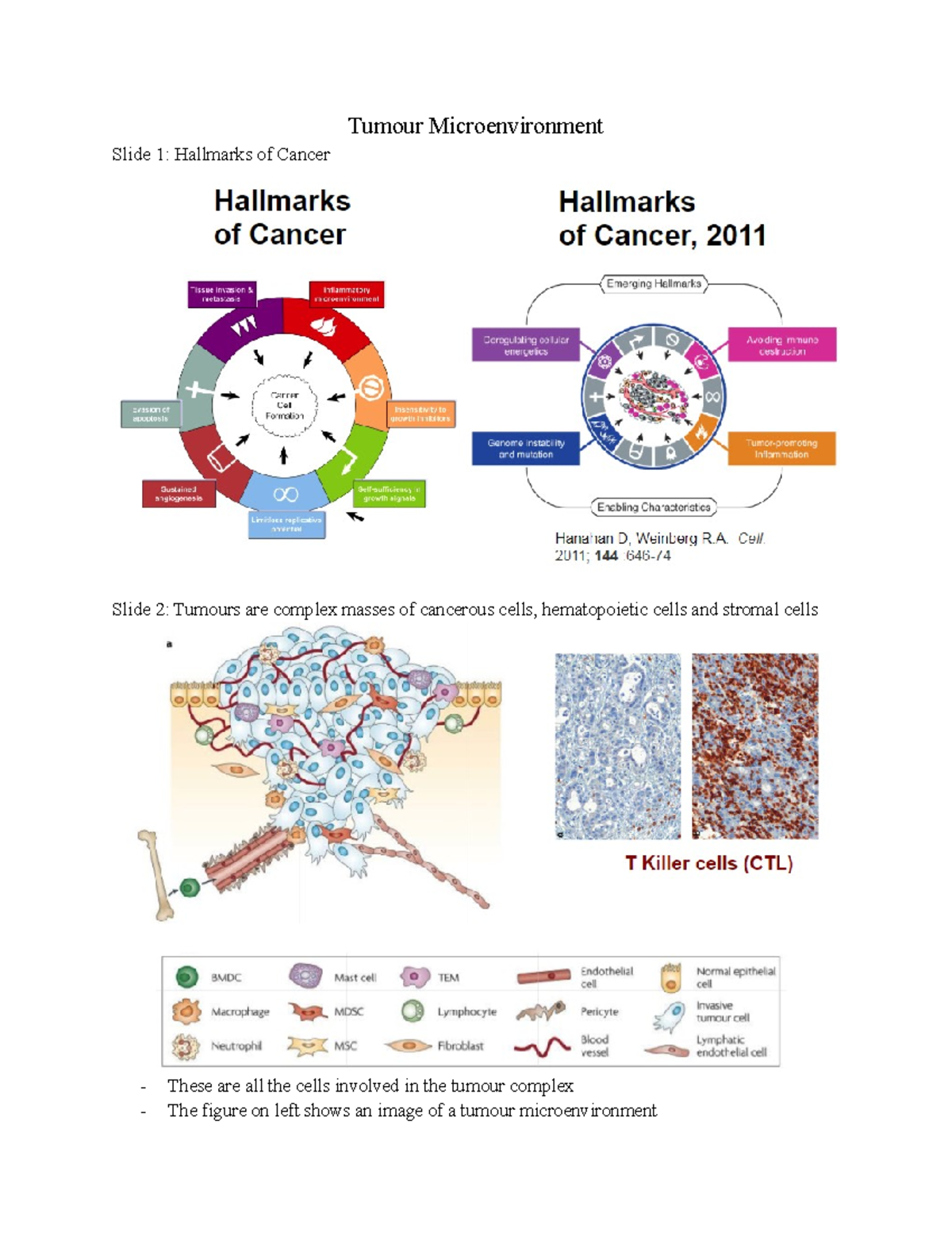 Lecture Tumour Microenvironment - Tumour Microenvironment Slide 1 ...