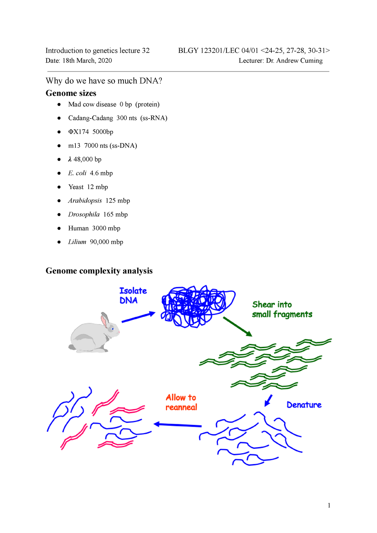 BLGY1232 Introduction To Genetics Lecture Notes - Introduction To ...