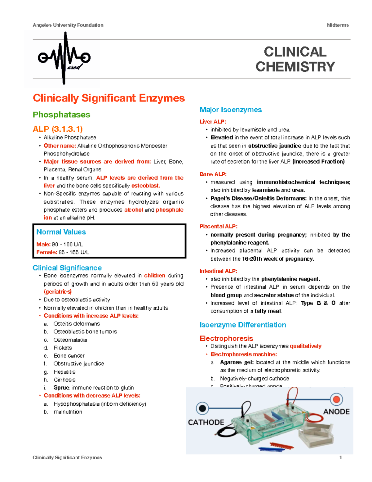 clinically-significant-enzymes-clinical-chemistry-clinically