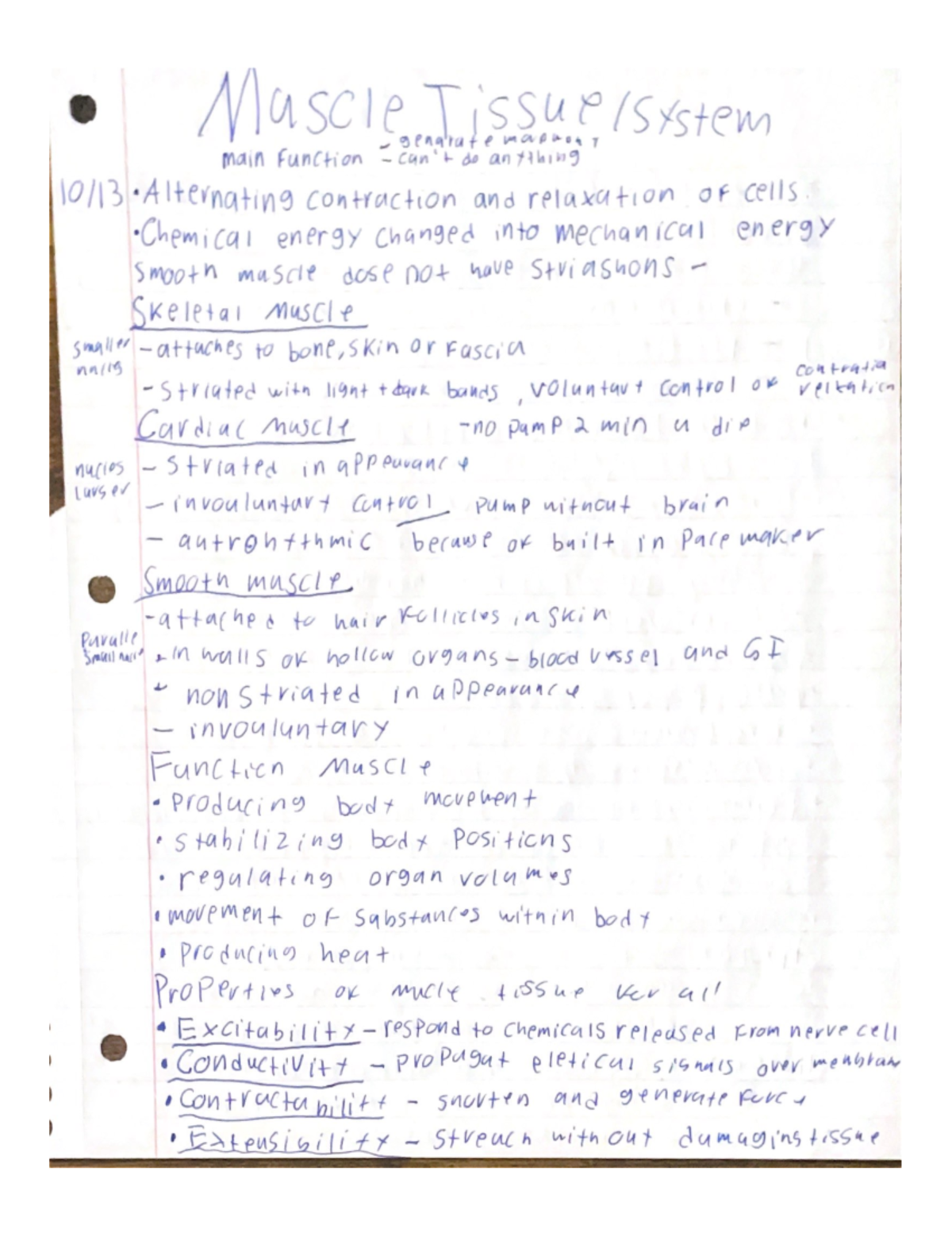 Anatomy And Physiology Pages 51-60 - BIO 3201 - Studocu