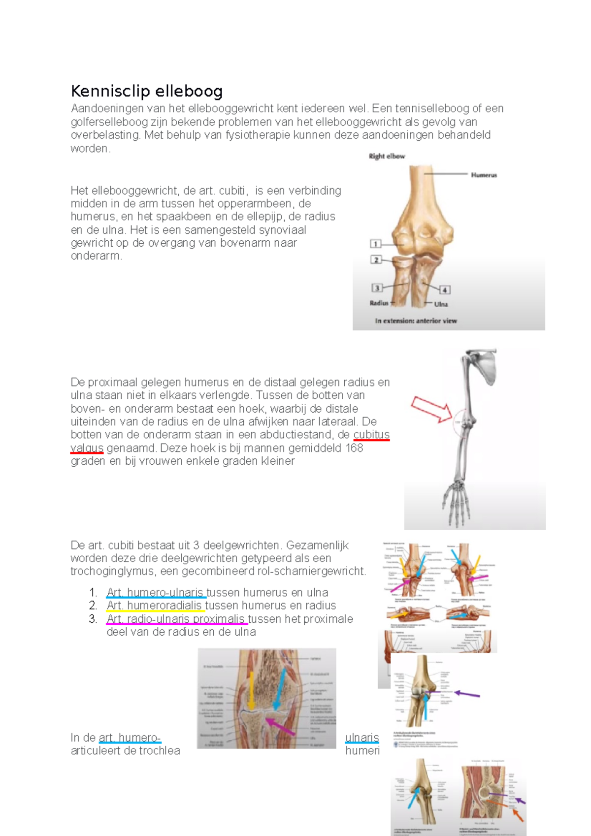 Kennisclip Elleboog - Kennisclip Elleboog Aandoeningen Van Het ...