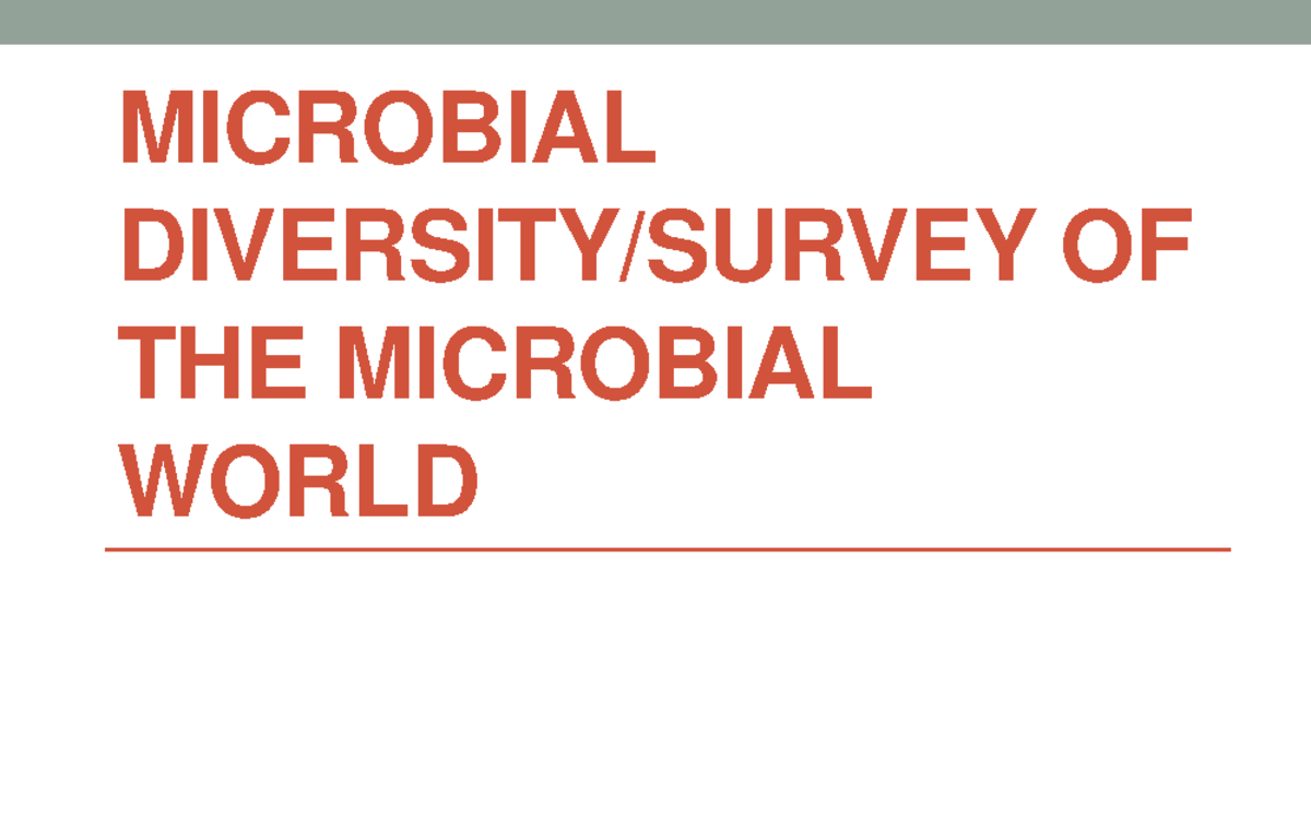 Microbial Diversity - LECTURE - MICROBIAL DIVERSITY/SURVEY OF THE ...