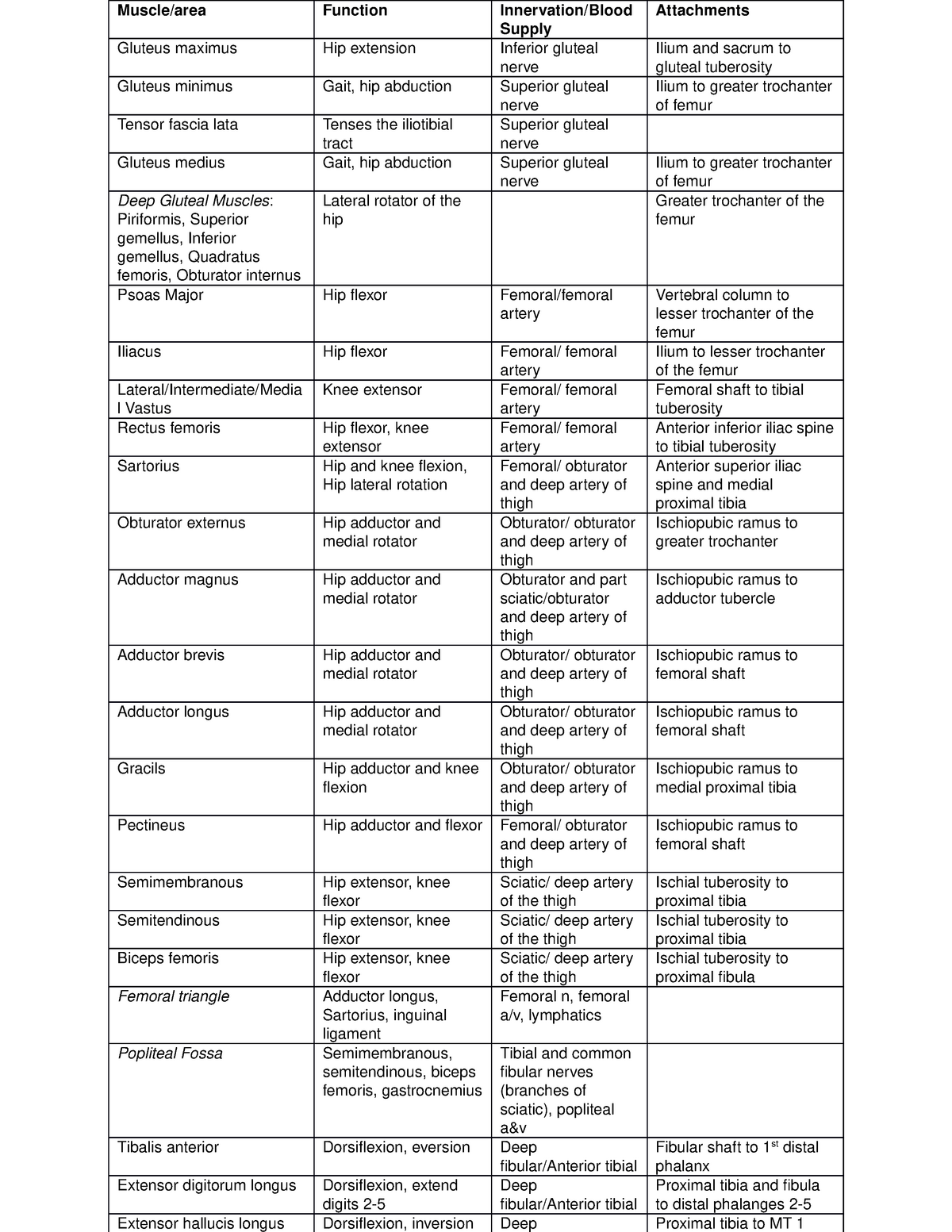 Muscles - Summary Human Anatomy - Function Gluteus maximus Hip ...