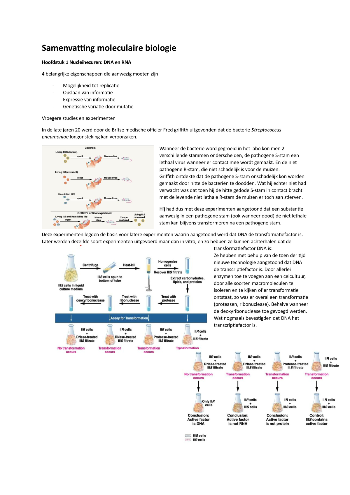 Samenvatting Moleculaire Biologie - Samenvatting Moleculaire Biologie ...