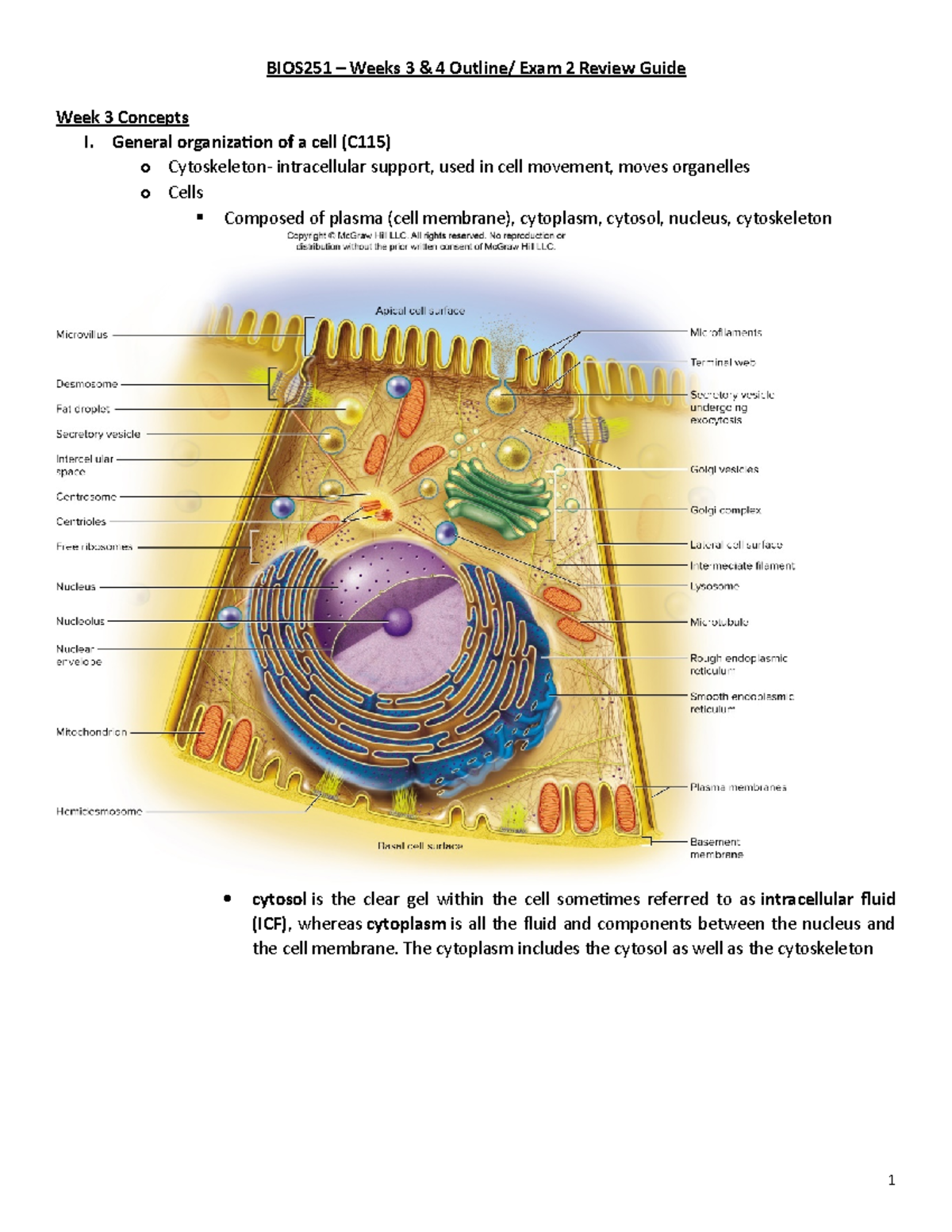 BIOS251 Weeks 3-4 Outline-Review (2)- Study Guide - BIOS251 – Weeks 3 ...