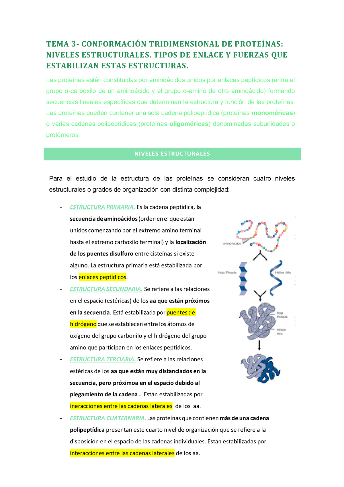 Tema 3 Conformación Tridimensional De Proteínas Niveles Estructurales Tipos De Enlace Y 3265