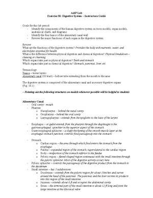 A&P Student Ex 36 Respiratory System - Instructors Guide - A&P Lab ...