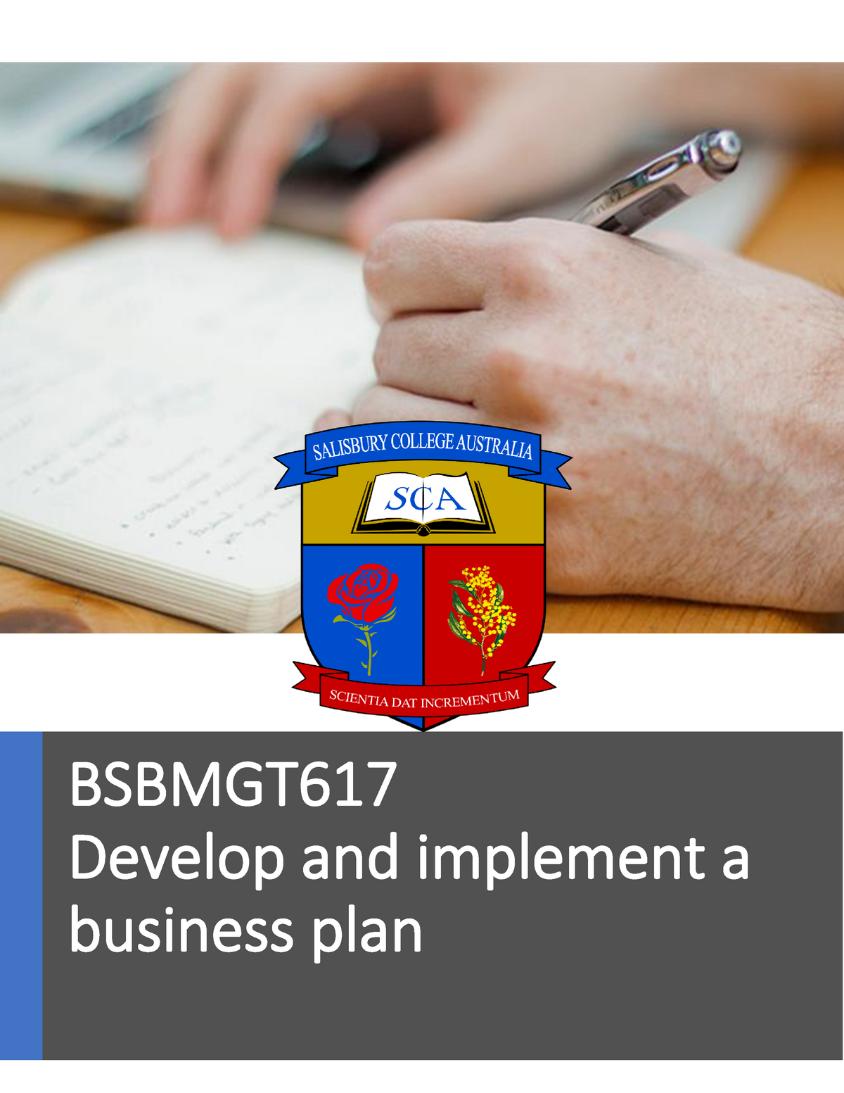 bsbmgt617 develop and implement a business plan
