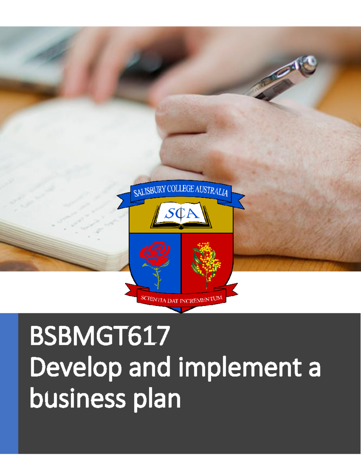 bsbmgt617 develop and implement a business plan