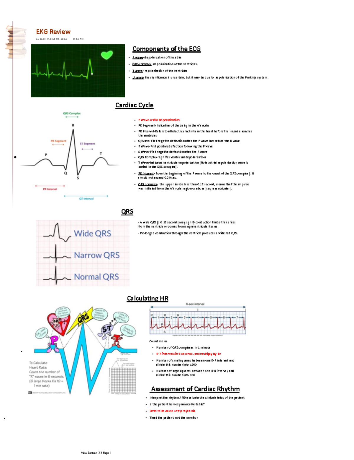 EKG Review - My EKG lecture notes. - P Wave-Atrial Depolarization PR ...