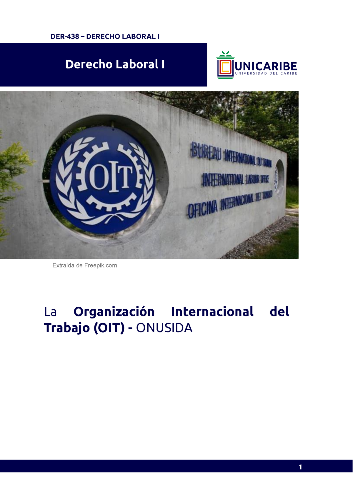 Unidad 1 Recurso 3 Organización Internacional Del Trabajador Oit02 Extraída De Freepik 7841