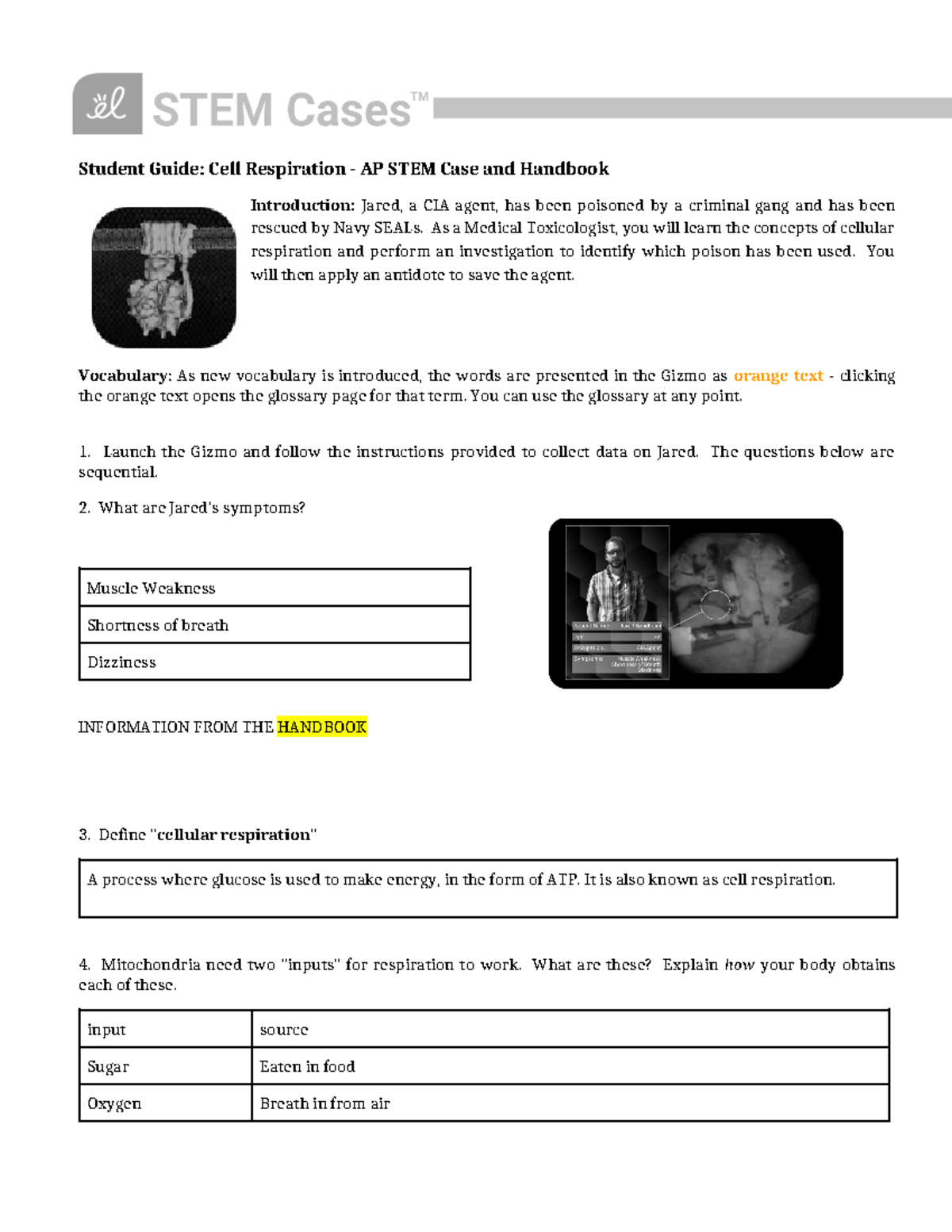 case study stretchy star answer key quizlet