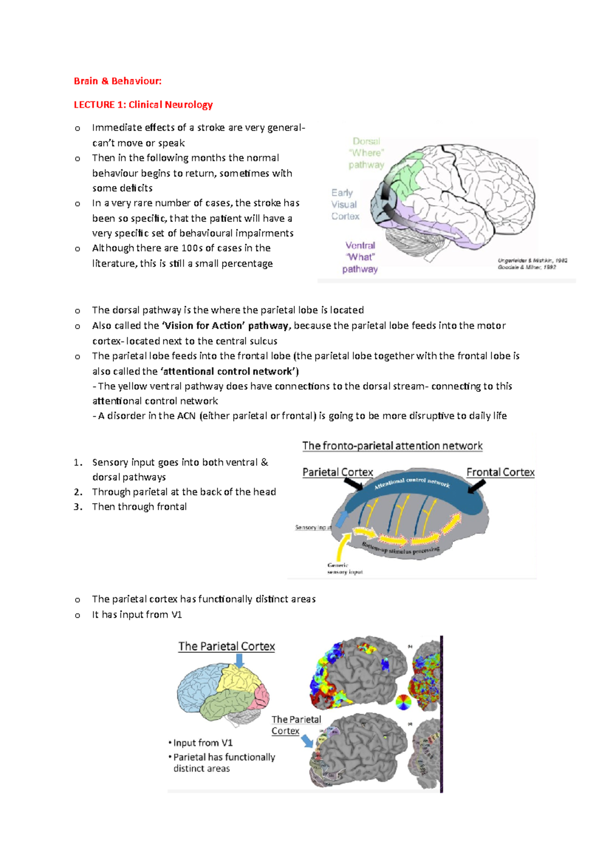 Brain And Behaviour 2 - Lecture Notes 5-8 - PSY00002I - York - Studocu