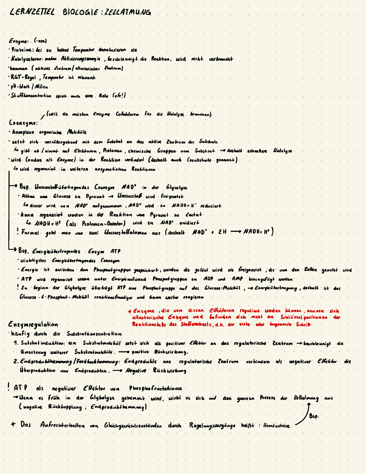 K1 Lernzettel Zu Zellatmung - LERNZETTEL BIOLOGIE : ZELLATMUNG Enzyme ...