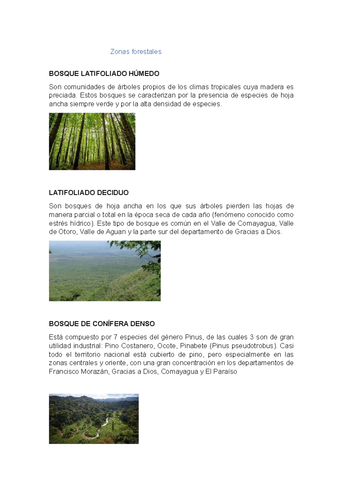 Zonas forestales tareas Zonas forestales BOSQUE LATIFOLIADO HÚMEDO