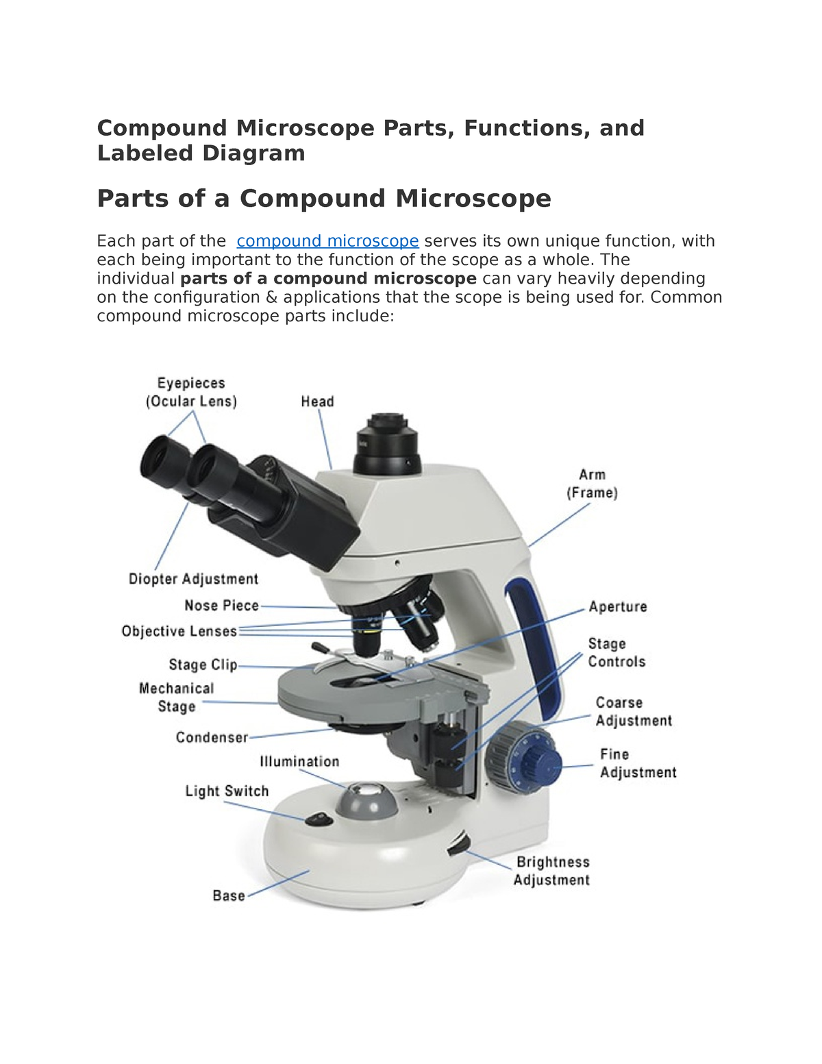 Compound Microscope Parts - The individual parts of a compound ...