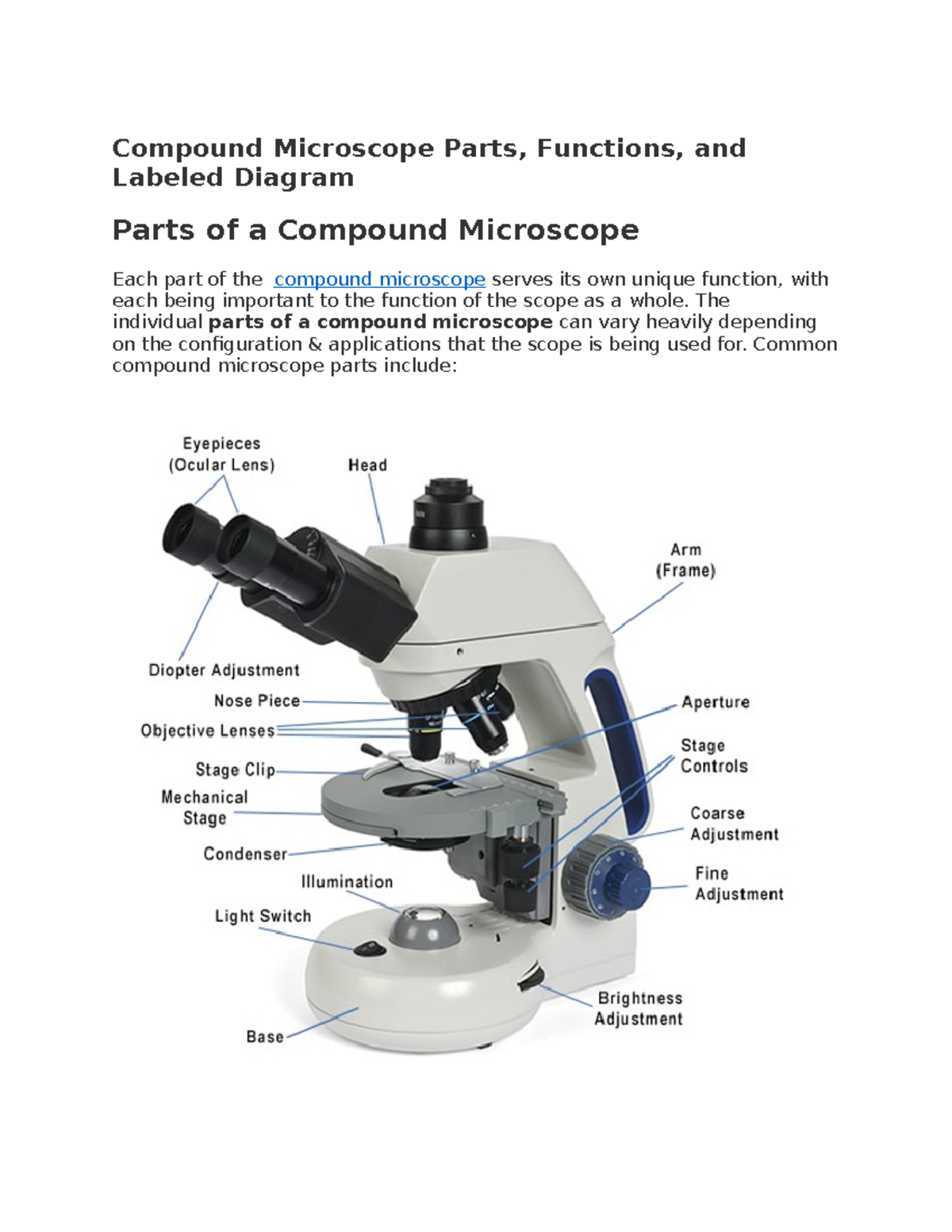 Microscope Diagram And Functions