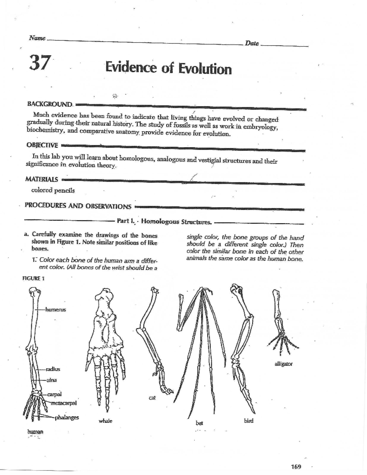 Evidence of Evolution Lab Studocu