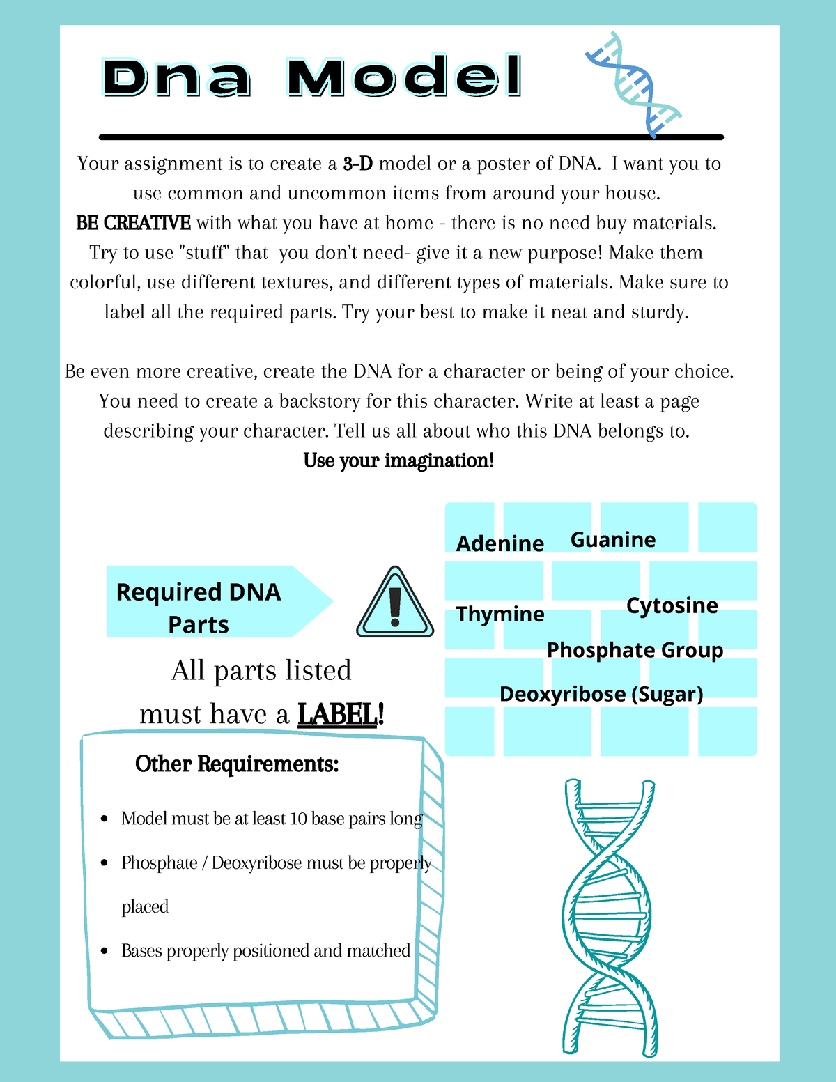 8th DNA - project - Dna ModelDna Model Your assignment is to create a 3 ...