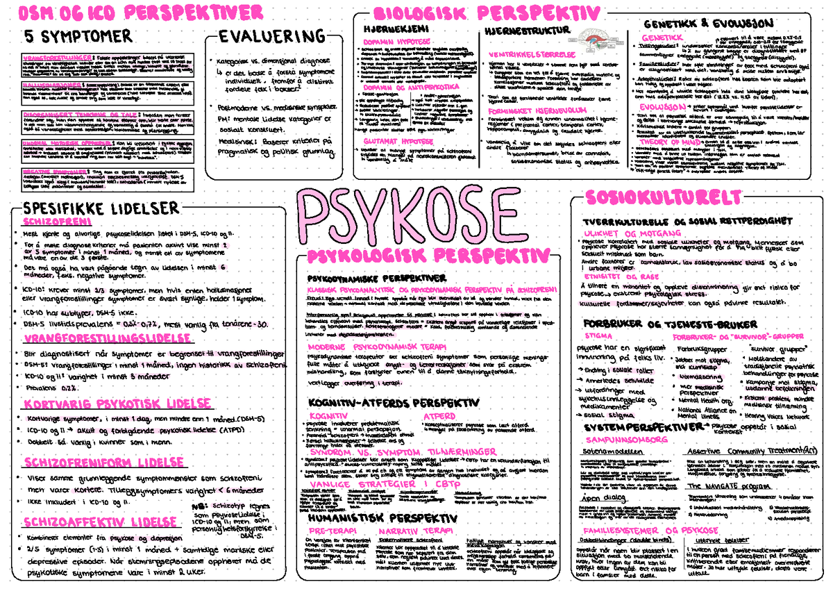 Psykoselidelser - Tankekart Til Kapittelet Om Psykose Lidelser I ...