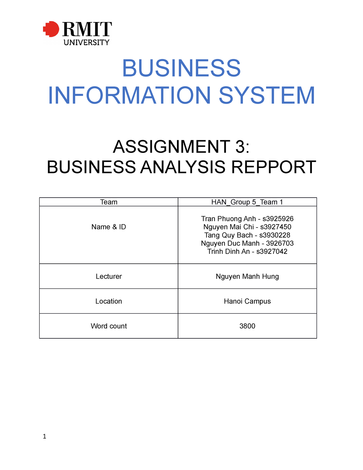 business information system assignment