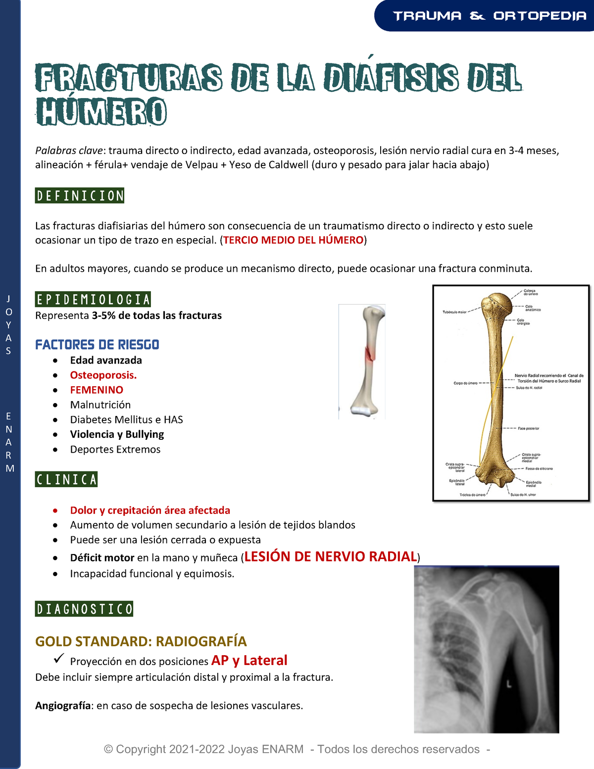 7. Fracturas De La Diáfisis Del Húmero - © Copyright 2021-2022 Joyas ...