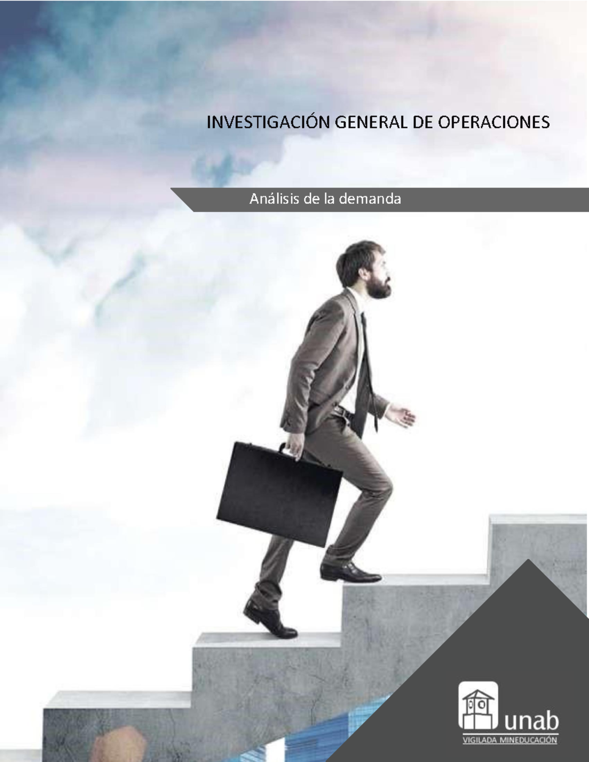 Analisisdemanda - INVESTIGACI”N GENERAL DE OPERACIONES An·lisis De La ...