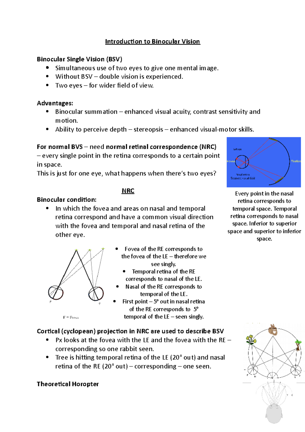 introduction-to-binocular-vision-introduction-to-binocular-vision