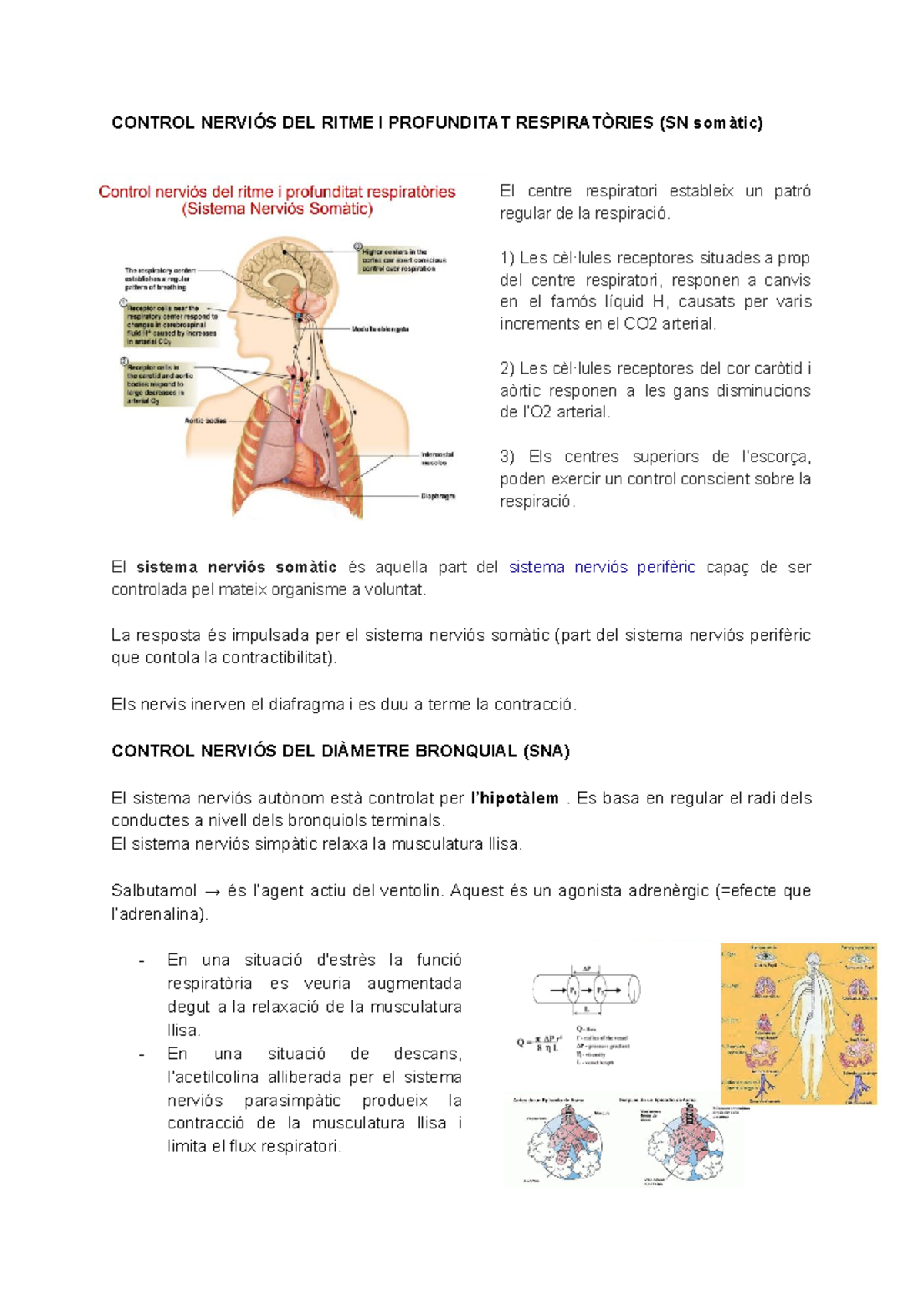 Spina In Ottone Sfiato Respiratore Pressione 1/2"-14 NPTF Rhino - Foto 7