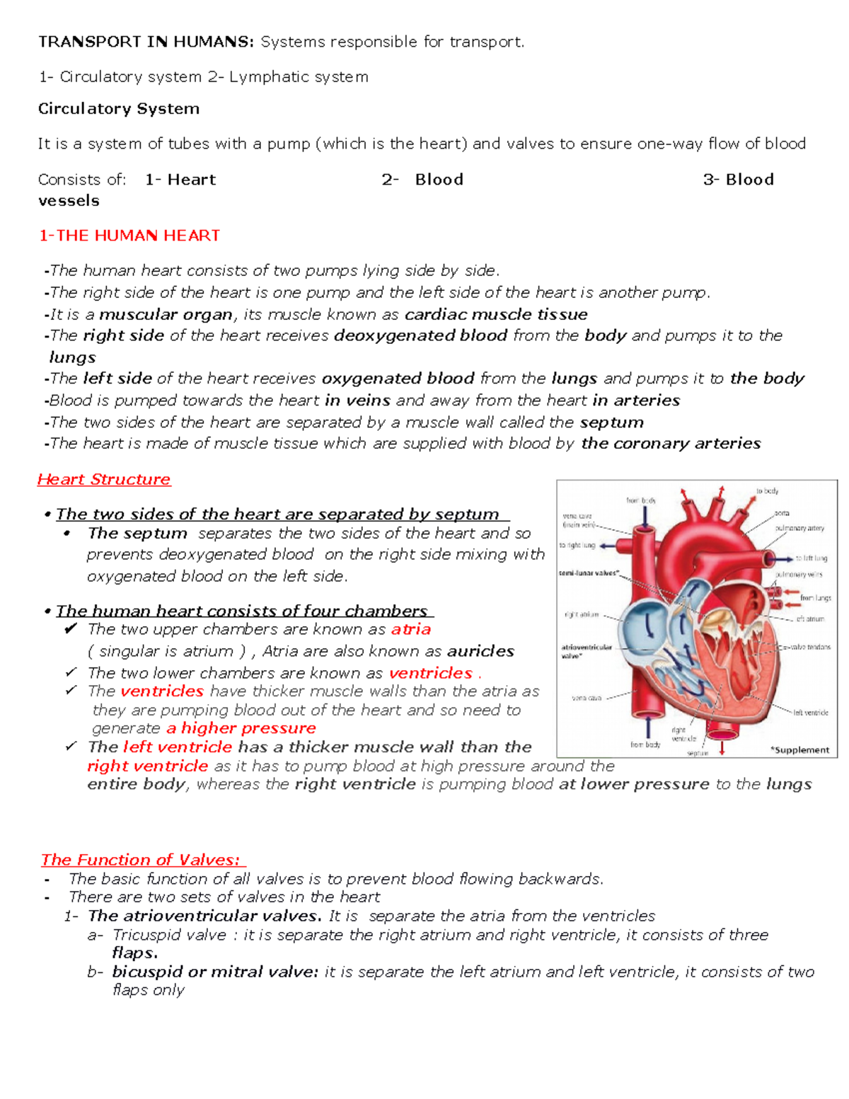 Transport IN Humans - the heart - TRANSPORT IN HUMANS: Systems ...