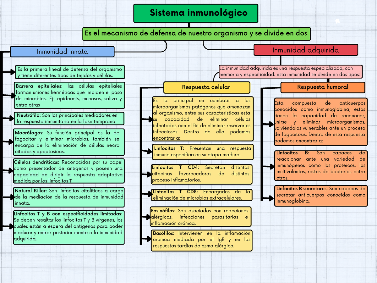 mapa conceptual de inmunidad