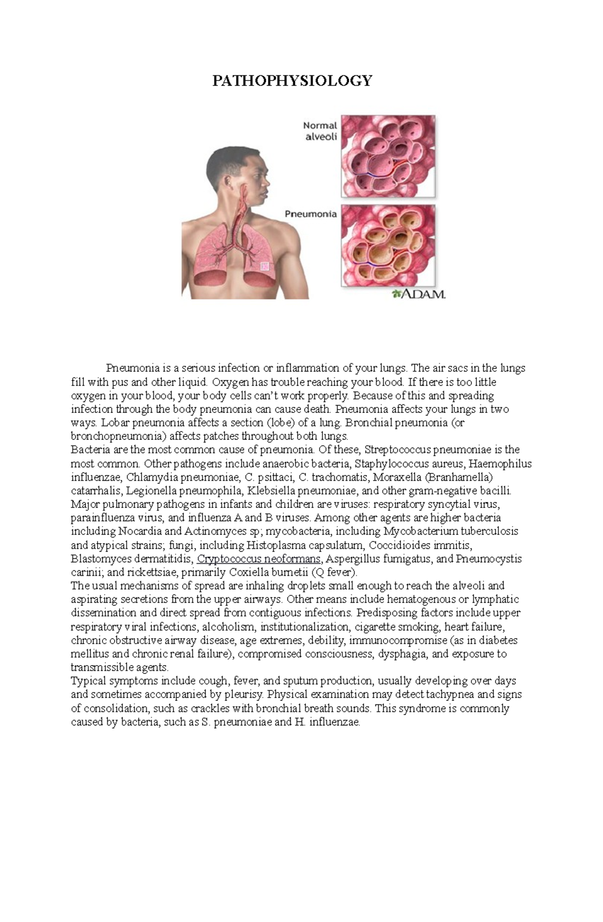 Anatomy and Pathopysiology Respiratory - PATHOPHYSIOLOGY Pneumonia is a ...