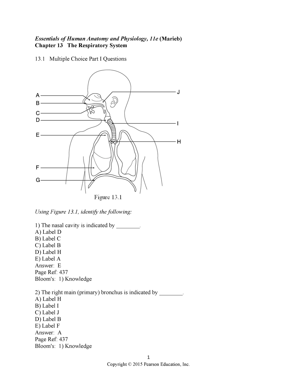 respiratory system terms assignment