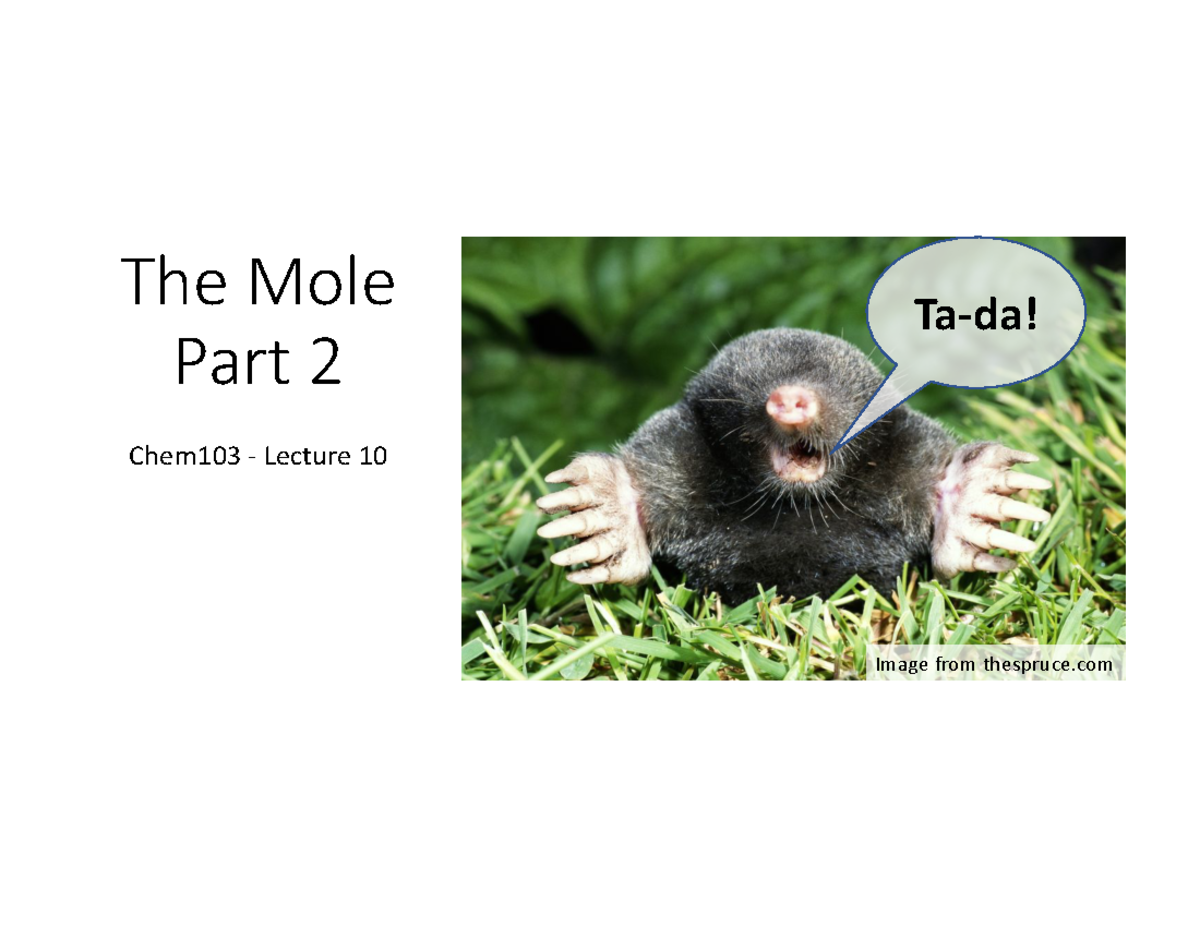 Lecture 10 mole part 2 rec letters - The Mole Part 2 Chem103 - Lecture ...