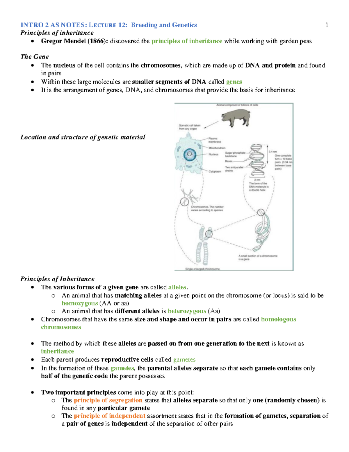 Lecture 12- Breeding and Genetics - Principles of inheritance - Gregor ...